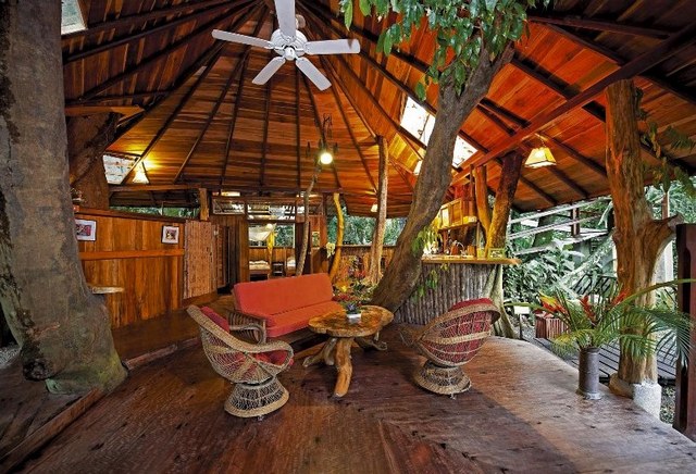 Tree House Lodge Tree House Lodge