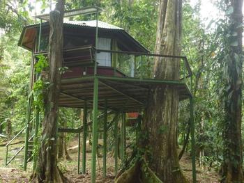 Finca Valeria Treehouses