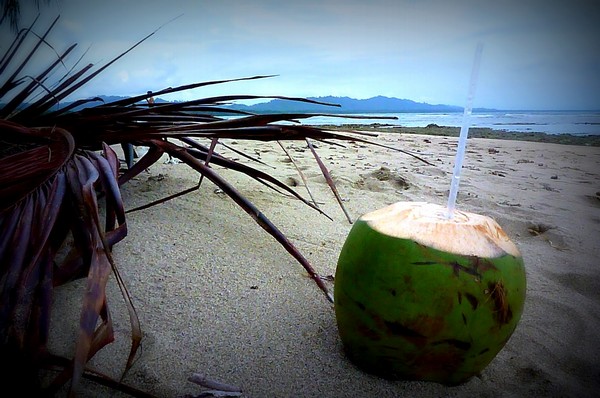 coconut on the beach