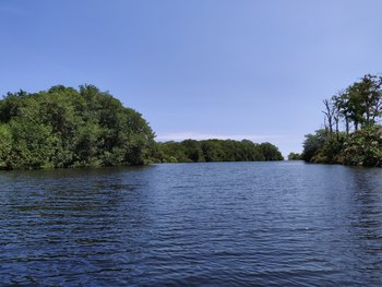 Gandoca Lagoon