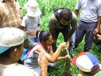 Aprendiendo sobre la biodiversidad