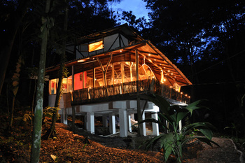 El Arbol Casas en la Jungla