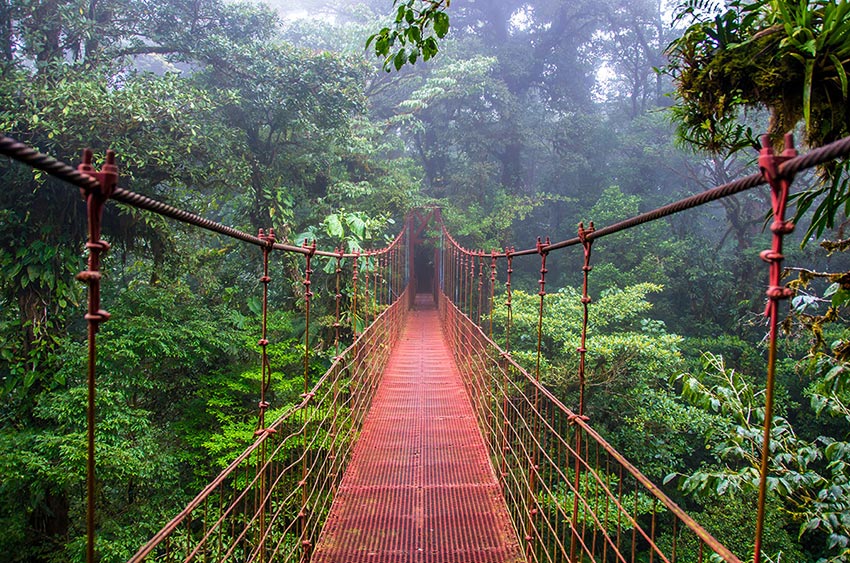 Sky Walk at Monteverde