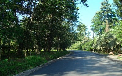 La carretera de Hone Creek a Puerto Viejo fue asfaltada en 2010