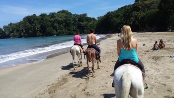 Ride the Rainforest