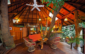 Tree House Lodge