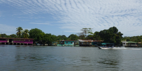 View of Tortuguero town from the lancha