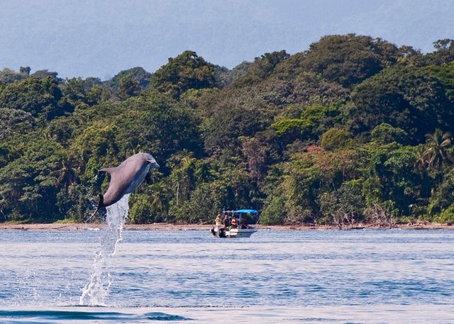 Puerto Viejo and Cahuita Tour &amp; Activity Companies